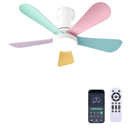 Ceiling Fans with Lights