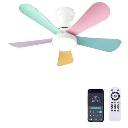 Ceiling Fans with Lights