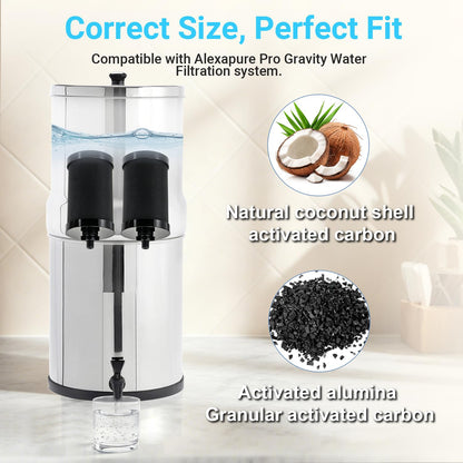 2387 Pro Filter Replacement (3 Packs)