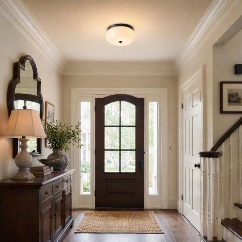 Modern Ceiling Light