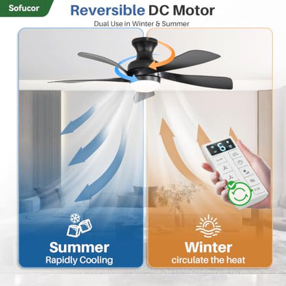 52 Inch Smart Ceiling Fans with Lights and Remote (Black / 52inch Max)