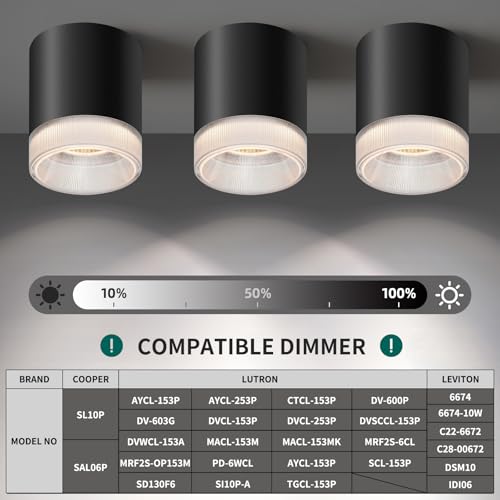 Ceiling Light Fixtures for Hallway Kitchen Entryway