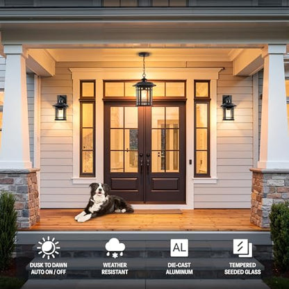 P8308P Outdoor Pendant Light