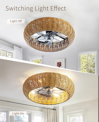Low Profile Ceiling Fan with Light