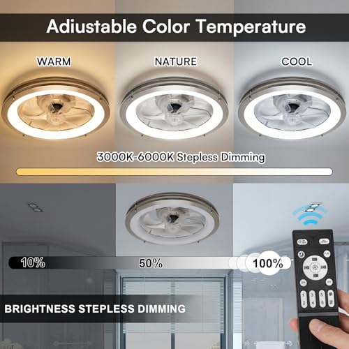 Ceiling Fans with Lights