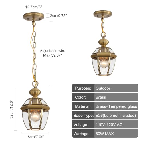 Solid Brass Outdoor Pendant Light Fixture