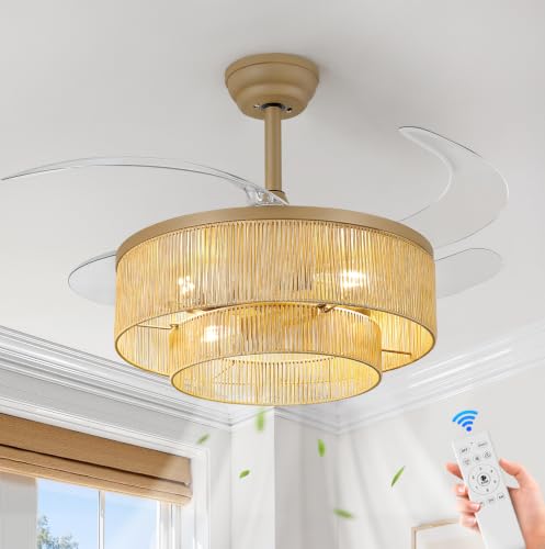 Boho Ceiling Fans with Lights
