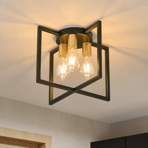 3 Light Ceiling Light