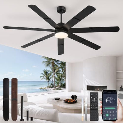 Ceiling Fans with Lights