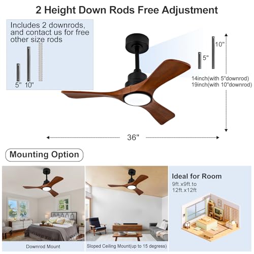 Ceiling Fan with Light