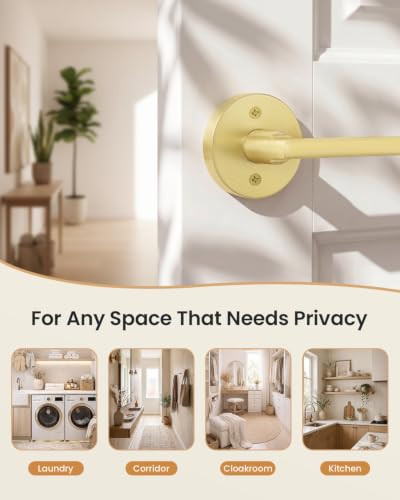 Door Handles Interior