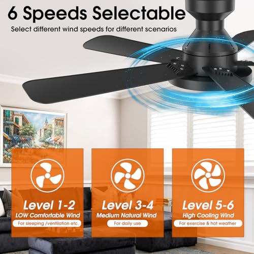 Ceiling Fans with Lights