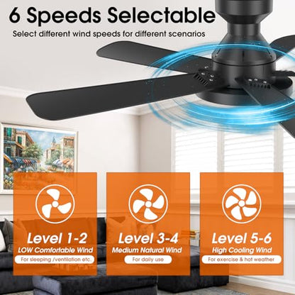 Ceiling Fans with Lights