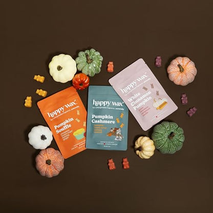 Fall Scented Soy Wax Melts 6oz Variety Pack