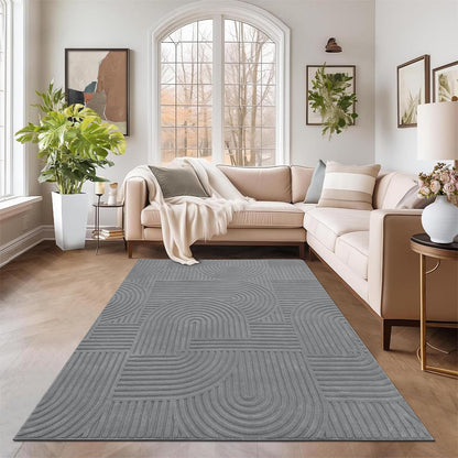 5x7 Area Rugs for Living Room (5'x7' / Grey)