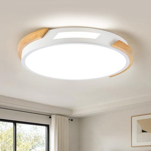 Modern Wood Dimmable Ceiling Light