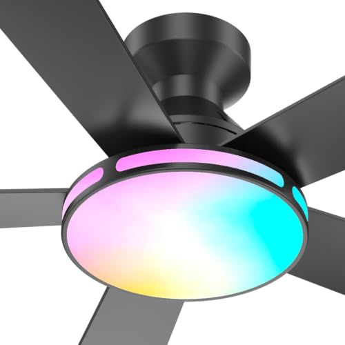 Ceiling Fans with Lights