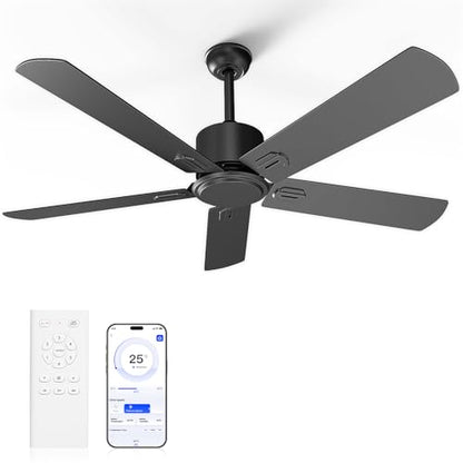Black Ceiling Fan