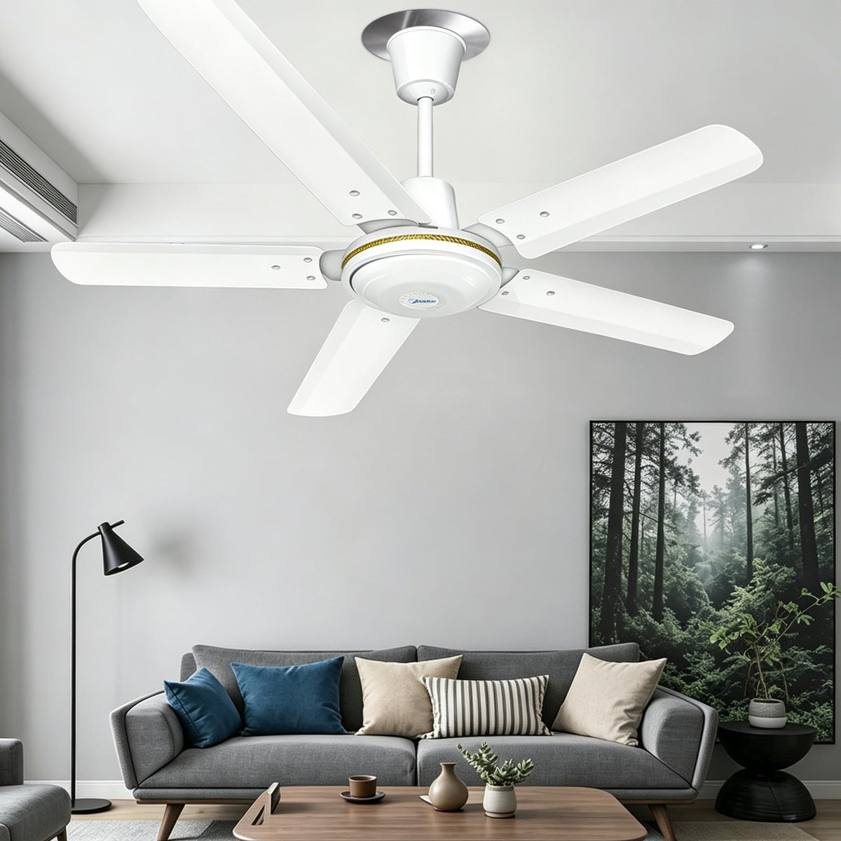The Can Converter Ceiling Medallion for Recessed Can Light (Brushed Nickel)