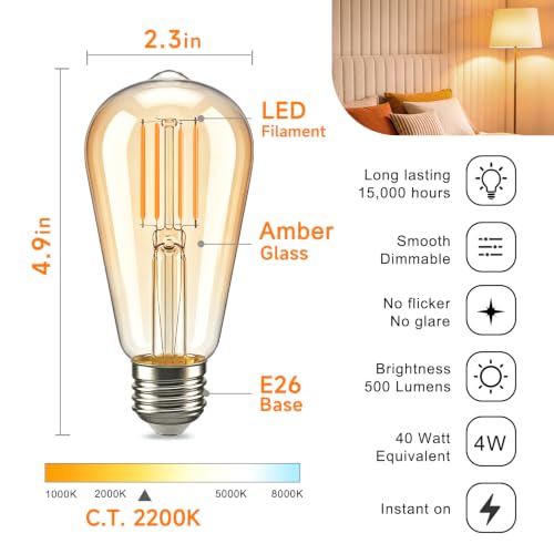 Vintage Edison LED Light Bulbs