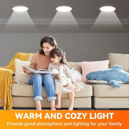 BR30 Flood Light Bulb Indoor