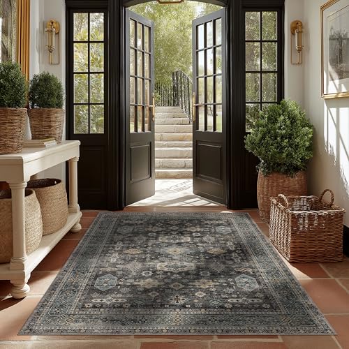 Washable Area Rug 4×6 for Living Room (Silver / 4' x 6' (Rectangular))