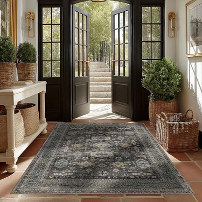 Washable Area Rug 4×6 for Living Room (Silver / 4' x 6' (Rectangular))