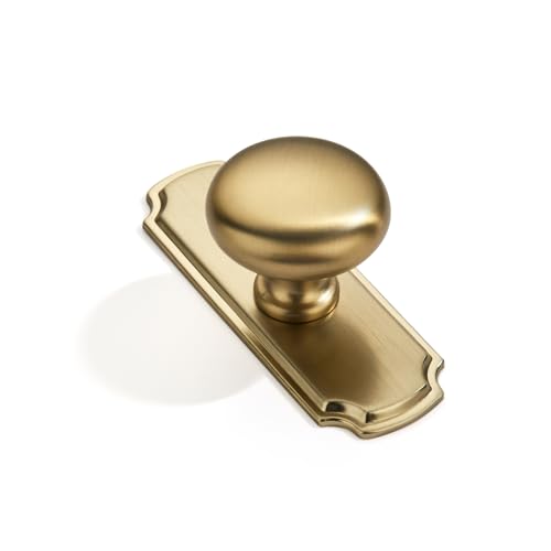 10 Pack Champagne Bronze Cabinet Knobs and Backplates