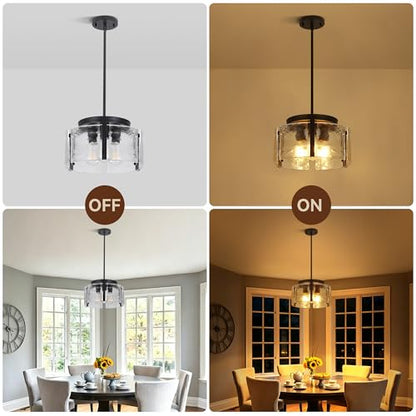 Black Glass Chandelier