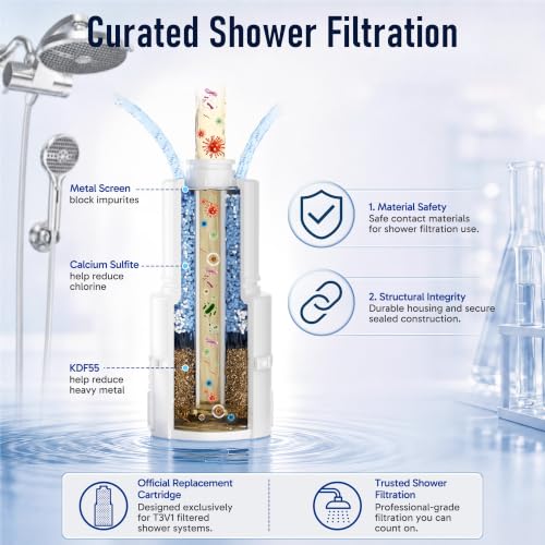 Filtered Shower Head with Handheld