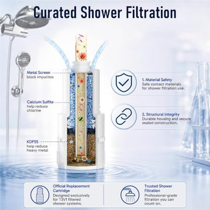 Filtered Shower Head with Handheld