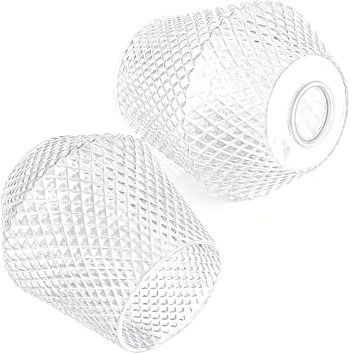 2Pcs Small Glass Lamp Shades (Clear)
