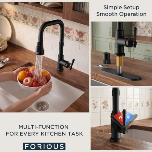 Vintage Kitchen Sink Faucet with Pull Down Sprayer