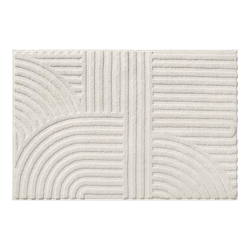 Area Rugs for Living Room