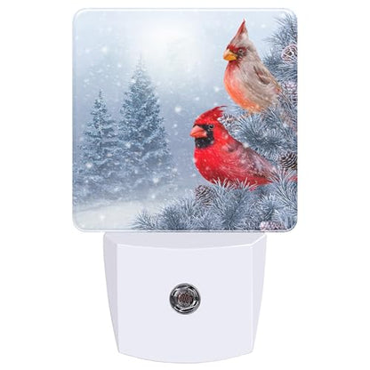 Night Lights Plug into Wall
