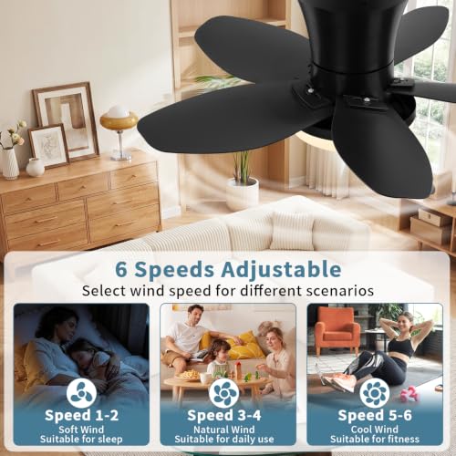 Small Ceiling Fan with Lights