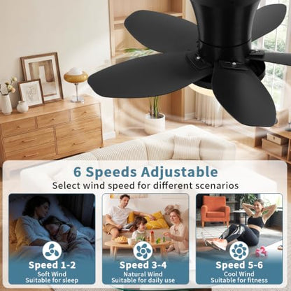 Small Ceiling Fan with Lights