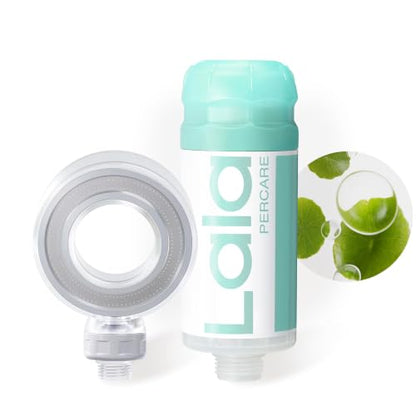 High Pressure Aromatherapy Filtered Shower Head with Handheld