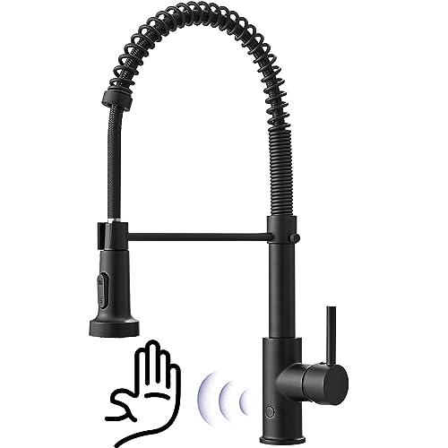 High Arc Spring Kitchen Faucet with Pull Down Sprayer