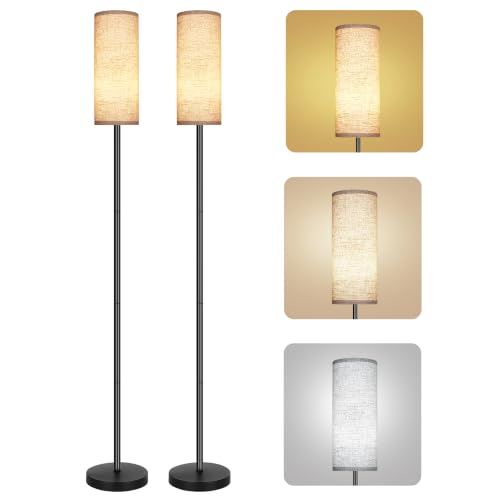 Floor Lamps 2Pack
