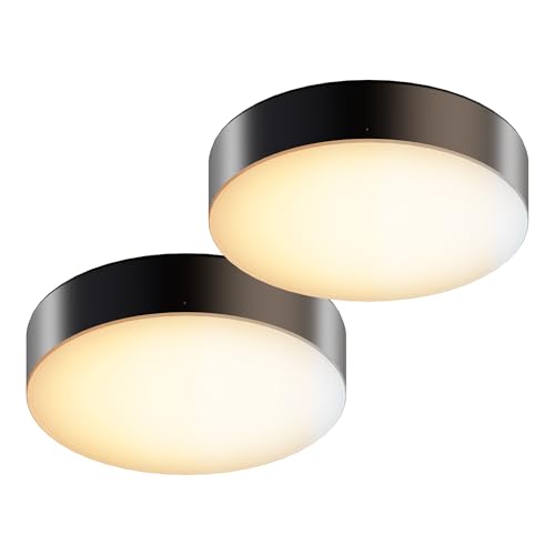 5 Inch Edgeless Surface Mount LED Ceiling Light