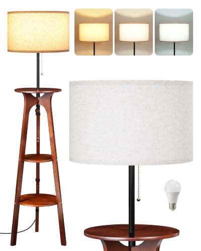Floor Lamp for Living Room