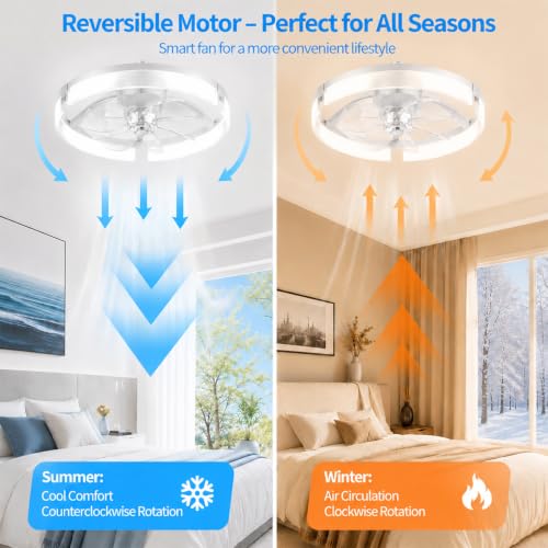 Ceiling Fans with Lights and Remote