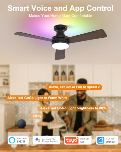 Smart RGB Ceiling Fans with Lights