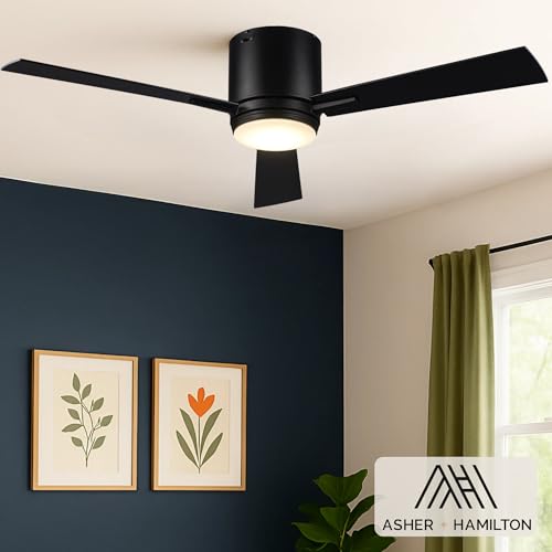 Asher Hamilton Vero 52 Inch Low Profile Indoor Ceiling Fan
