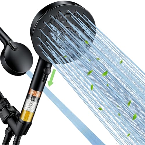 Filtered Shower Head with Handheld