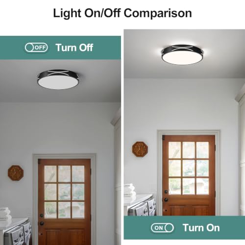 Modern Flush Mount Ceiling Light Fixture