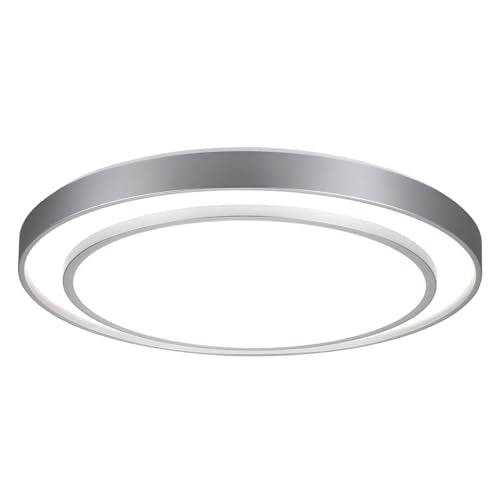 Close to Ceiling Light VC60