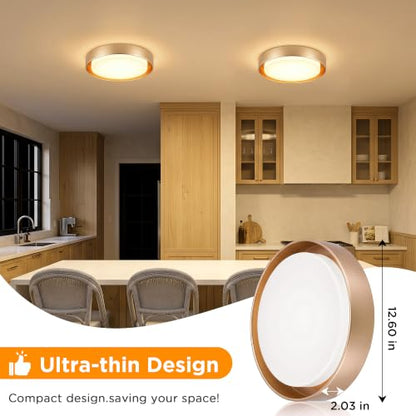 Flush Mount Ceiling Light