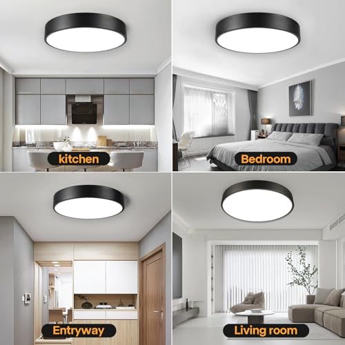 Matte Black Flush Mount Ceiling Light